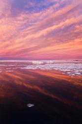 Iceberg and floes in the ocean at sunrise, Antarctica | Obraz na stenu