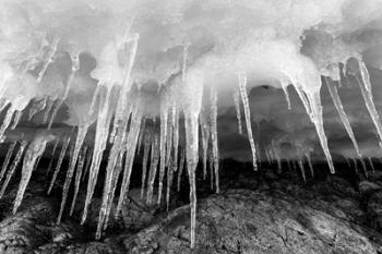 Icicles hang from an ice roof, Cuverville Island, Antarctica. | Obraz na stenu