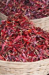 Red peppers at local produce market, Bumthang, Bhutan | Obraz na stenu