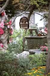 Caged Songbird Hangs in Administrator's Garden, Suzhou, Jiangsu Province, China | Obraz na stenu