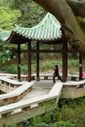 Tai Chi Chuan in the Chinese Garden Pavilion at Kowloon Park, Hong Kong, China | Obraz na stenu