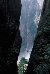 Sheer Cliffs on Mt Huangshan (Yellow Mountain), China | Obraz na stenu