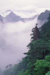 Landscape of Mt Huangshan in Mist, China | Obraz na stenu