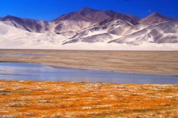 Landscape of Mt Kunlun and Karakuli Lake, Silk Road, China | Obraz na stenu