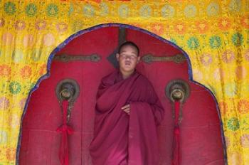 Monks in Sakya Monastery, Tibet, China | Obraz na stenu