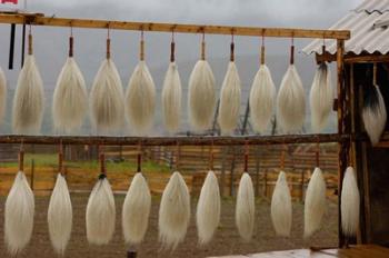 Yak Tails For Sale, Zhongdian, Yunnan Province, China | Obraz na stenu