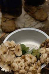 Wild Mushrooms For Sale, Honghe Prefecture, Yunnan Province, China | Obraz na stenu