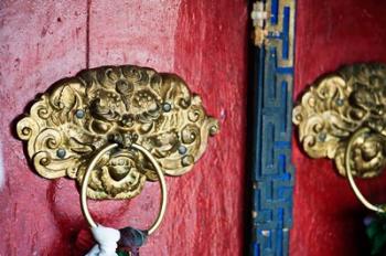 Dragon Head Door Grip, Likir, Ladakh, India | Obraz na stenu