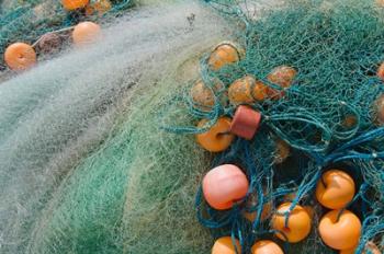 Fisherman harvesting fish on the beach, Goa, India | Obraz na stenu