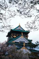 Osaka Castle and Cherry Blossom Trees, Osaka, Japan | Obraz na stenu