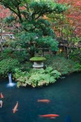 Japanese Garden, Tokyo, Japan | Obraz na stenu