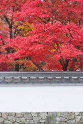 Eikando Temple, Kyoto, Japan | Obraz na stenu