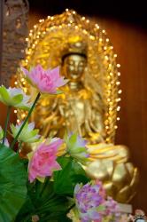 Pink lotus flowers in front of gold statue, Kek Lok Si Temple, Island of Penang, Malaysia | Obraz na stenu