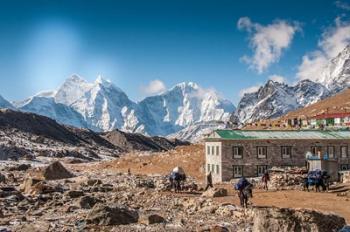 Trekkers and yaks in Lobuche on a trail to Mt Everest | Obraz na stenu