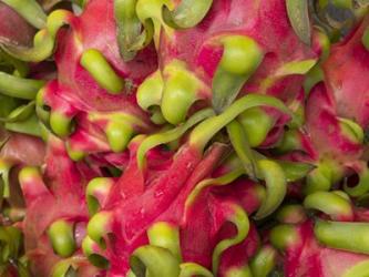 Dragon fruit | Obraz na stenu