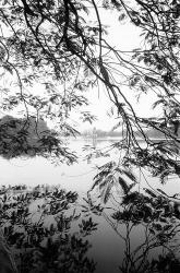 Hoan Kiem Lake View, Hanoi, Vietnam | Obraz na stenu