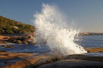 Splash from Blowhole, Bicheno, Tasmania, Australia | Obraz na stenu