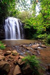 Ellinjaa Falls,  Waterfall Circuit, Queensland, Australia | Obraz na stenu