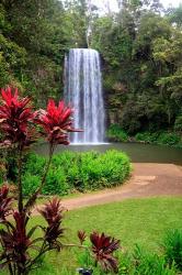 Millaa Millaa Falls, Queensland, Australia | Obraz na stenu