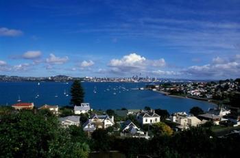 Torpedo Bay, Auckland, North Island, New Zealand, Oceania | Obraz na stenu