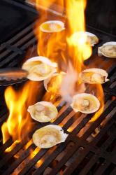 Scallops on Barbeque | Obraz na stenu