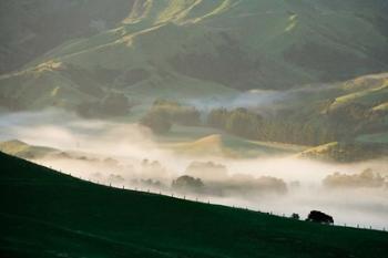 Misty Farmland near Martinborough, Wairarapa, North Island, New Zealand | Obraz na stenu