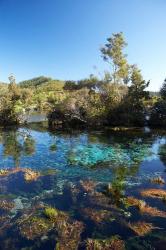 Pupu Springs, Golden Bay, South Island, New Zealand | Obraz na stenu