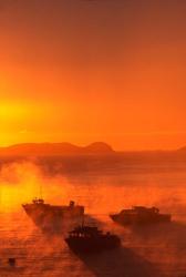 New Zealand, Fishing Boats at sunrise, Stewart Island | Obraz na stenu