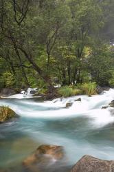 New Zealand, North Island, Rapids on Tarawera River | Obraz na stenu