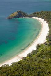 New Chums Beach and Motuto Point, Coromandel Peninsula, North Island, New Zealand | Obraz na stenu