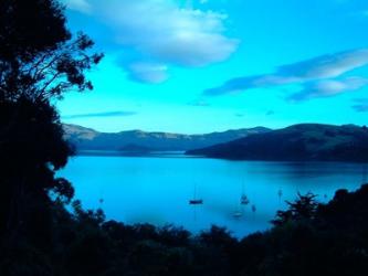 Sailboats at Anchor, Akaroa Peninsula, New Zealand | Obraz na stenu