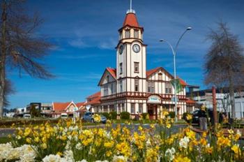 I-SITE Visitor Centre (Old Post Office) And Flowers, Rotorua, North Island, New Zealand | Obraz na stenu