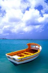 Close-up of Fishing Boat, Aruba | Obraz na stenu