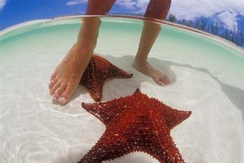 Starfish and Feet, Bahamas, Caribbean | Obraz na stenu