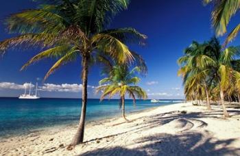 Tropical Beach on Isla de la Juventud, Cuba | Obraz na stenu