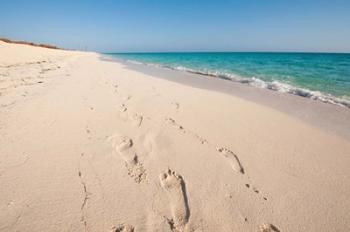 Cuba, Sol Cayo Santa Maria Resort, Footprints | Obraz na stenu