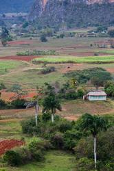 Cuba, Pinar del Rio Province, Vinales Valley | Obraz na stenu