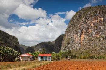 Cuba, Pinar del Rio, Farm by Mogote del Valle rock | Obraz na stenu