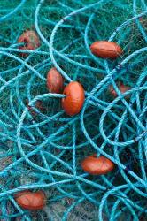 Dominica, Anse de Mai, fishing net | Obraz na stenu