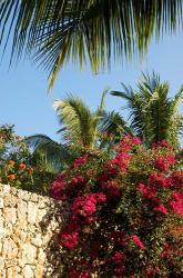 Viva Wyndham Dominicus Beach, Bayahibe, Dominican Republic | Obraz na stenu