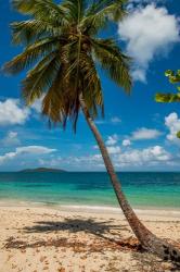 Cramer Park Beach, St Croix, US Virgin Islands | Obraz na stenu