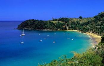 Quiet Cove, Tobago, Caribbean | Obraz na stenu