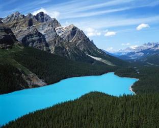 Peyto Lake, Banff National Park, Alberta, Canada | Obraz na stenu