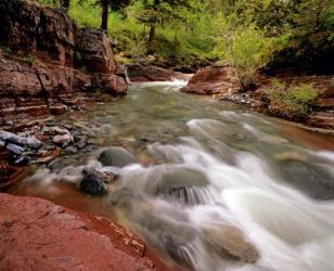 Lost Horse Creek, Wateron Lakes National Park, Alberta, Canada | Obraz na stenu