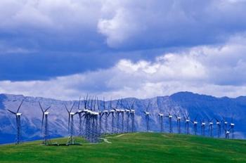 Windmills at Pincher Creek, Alberta, Canada | Obraz na stenu