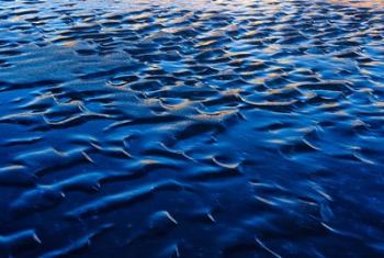 Waves patterns, Waterton Lakes National Park, Alberta | Obraz na stenu