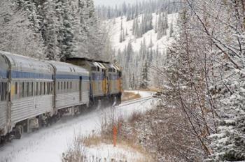 Via Rail Snow Train Between Edmonton & Jasper, Alberta, Canada | Obraz na stenu