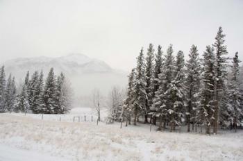 Winter Views from Train, Alberta, Canada | Obraz na stenu