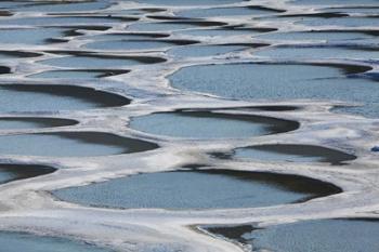 Spotted Lake, Osoyoos, British Columbia, Canada | Obraz na stenu