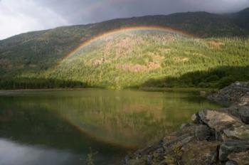 Buttle Lake, Vancouver Isl, British Columbia | Obraz na stenu